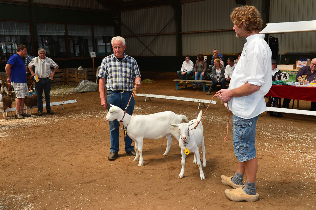 Jaarlijkse geitenkeuring in Menege De Delft. Georganiseerd door Geitenfokvereniging Assendelft en omstreken.